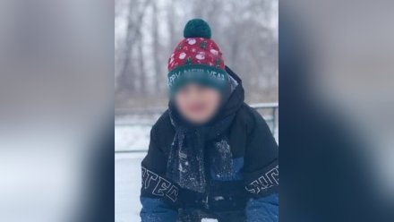 Поиски пропавшего без вести 7-летнего мальчика закрыли в Воронеже