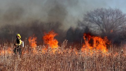 В Воронежской области закончился рекордно длинный противопожарный режим