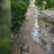 Воронежцы забили тревогу из-за недельного фекального потопа у Дома детского творчества