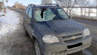 В Воронежской области слетевший с фуры кусок льда пробил стекло «Нивы»: пострадала женщина