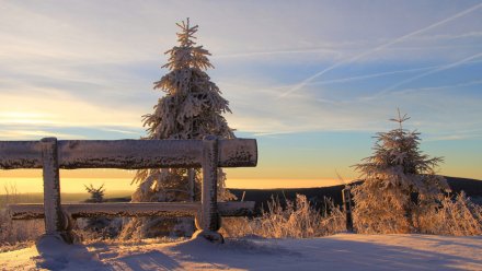 В последние январские выходные в Воронежской области похолодает до -18