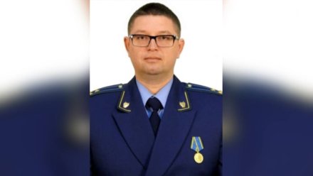 Экс-прокурор города Биробиджан возглавил надзорное ведомство в Воронеже