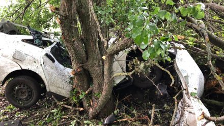 Водитель и пассажир «Лады» погибли в страшной аварии под Воронежем 