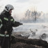 Власти оценили готовность Воронежской области к пожароопасному периоду