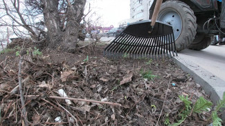 Общегородской субботник перенесли в Воронеже из-за дождя