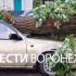 Дерево разбило припаркованную у дома в Воронеже Daewoo Nexia 