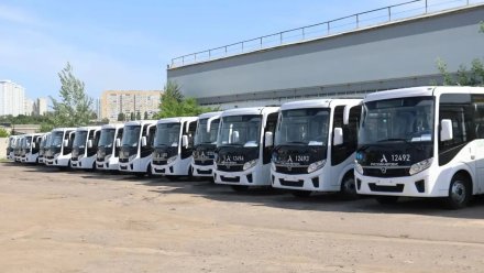 На улицах Воронежа появятся 30 новых автобусов