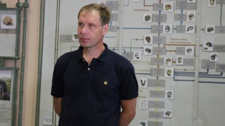 Директора воронежского музея «Костёнки» уволили из-за утраты доверия