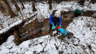 Ущерб от разлива сточных вод в воронежской Нагорной дубраве оценили в 250 тысяч