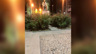 Неизвестные повредили многострадальную старинную брусчатку в центре Воронежа