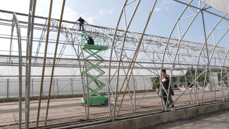 Две теплицы в воронежском лесопожарном центре ждёт реконструкция