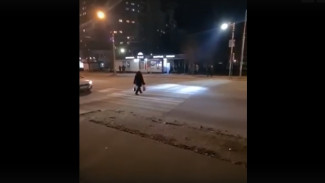В Воронеже появился незаконный «умный» переход