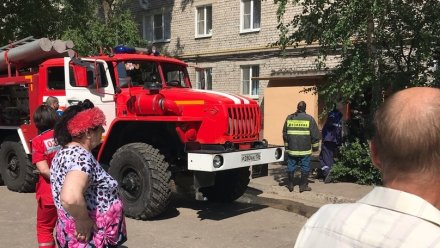 В Воронеже при пожаре в квартире погиб инвалид с собакой