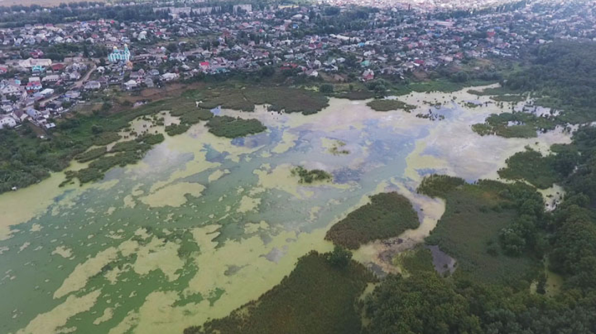 река воронеж до водохранилища