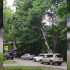 Повисший на проводах фонарный столб в Воронеже демонтируют