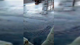 Из-за прорыва трубы затопило улицу на Левом берегу Воронежа: появилось видео