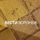 В воронежском «Олимпийском» неизвестный начал стрелять по людям