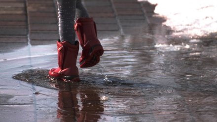 Воронежцы сообщили о затопленных дороге и тротуаре в Коминтерновском районе