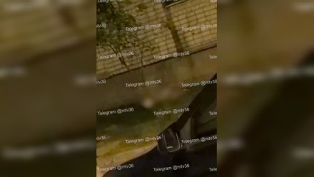 Пожилой мужчина упал с 8 этажа на улице Ломоносова в Воронеже