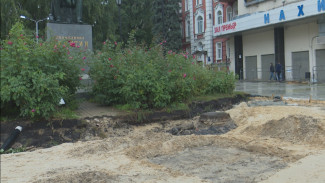 В Воронеже сохранят фрагмент старинной булыжной мостовой у памятника Ивану Никитину