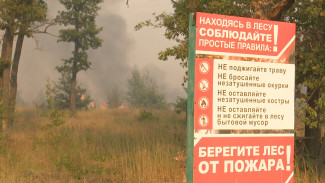 В 19 районах Воронежской области установился высокий уровень пожароопасности