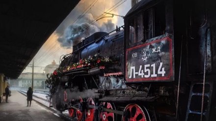 «Графский поезд» в Новый год свозит воронежцев в резиденцию Деда Мороза