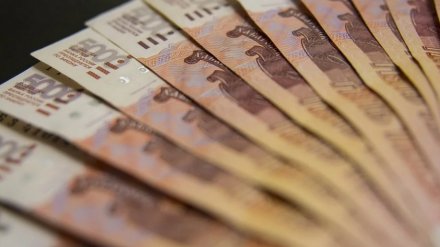 Депутаты Воронежской областной думы приняли бюджет региона на 2020 год