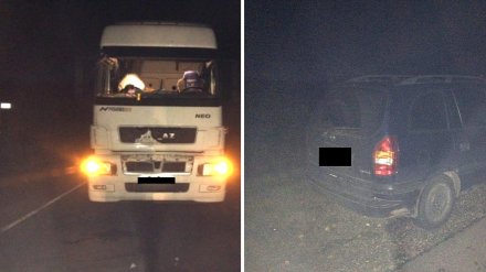 ДТП с воронежцем, переехавшим на фуре 4 человек, привело к делу против полицейских