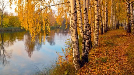 Прогноз погоды на 21 – 22.09.19