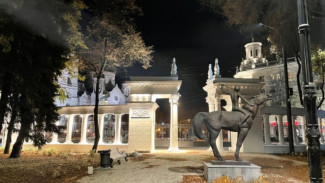 Парк «Орлёнок» в Воронеже закроют для подготовки к фестивалю