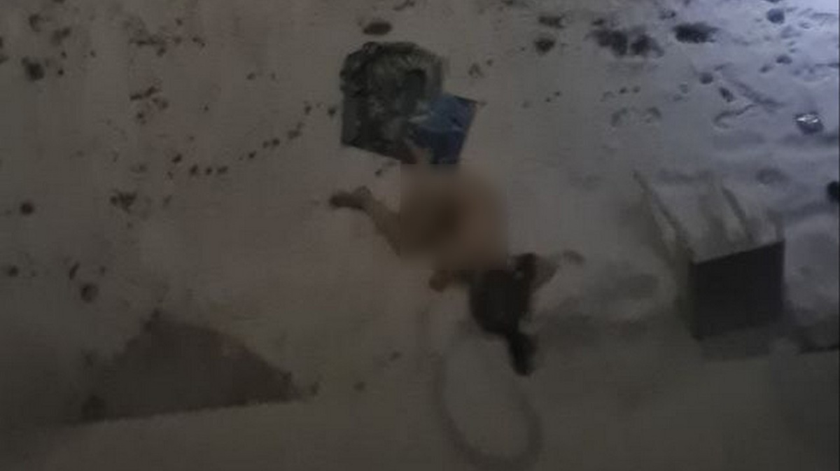 голый труп девушки Воронежцы сообщили о выпавшей из окна голой девушке – Новости Воронежа и  Воронежской области – Вести Воронеж