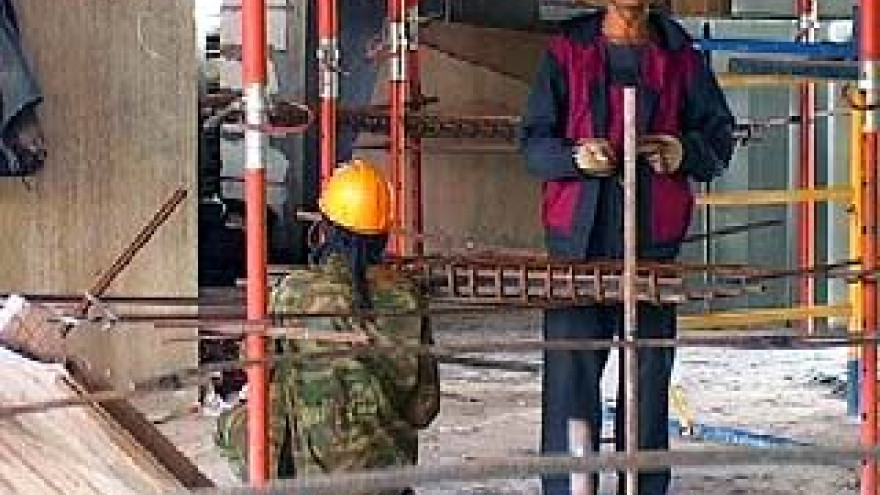 Почти восемь тысяч иностранцев будут работать в Воронежской области