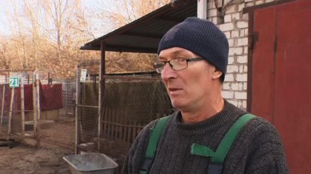 В Воронеже избили владельца крупнейшего приюта для бездомных собак