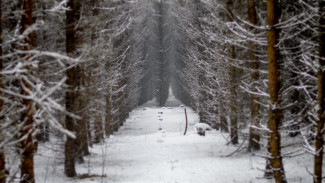 Синоптики пообещали воронежцам снежную погоду в последние выходные 2025-го