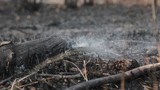 В Воронежской области потушили последний ландшафтный пожар