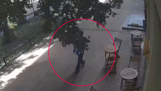 Прохожий чудом уцелел при падении дерева в центре Воронежа