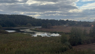 Экологи обратились в полицию из-за незаконных работ у воронежского озера Большое