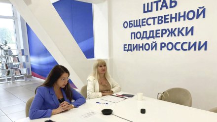 «Единая Россия» провела семинар по оказанию психологической помощи воронежцам