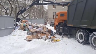 Воронежцы массово пожаловались на заваленные мусором дворы