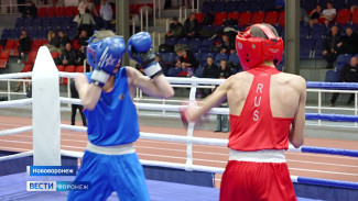 В Нововоронеже стартовал боксёрский турнир