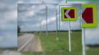 В Воронежской области на 7 аварийных участках установят светодиодные знаки