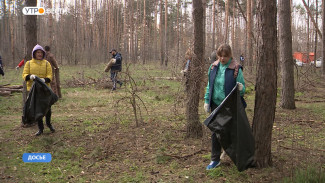 Воронежцев пригласили на общегородской субботник
