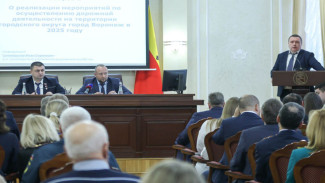 Движение по второму путепроводу Остужевской развязки в Воронеже планируют запустить в ноябре