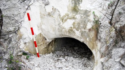 Пещеры воронежского «Дивногорья» могут стать подземными музеями