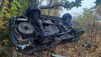 В Воронежской области 43-летний водитель разбился насмерть в ДТП с деревом