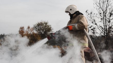 Спасатели сообщили о двух новых пожарах в Воронежской области 
