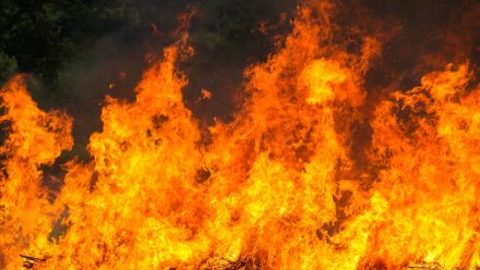 Пятый класс пожарной опасности установится во всей Воронежской области