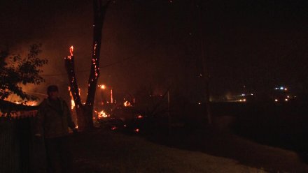 Уничтоживший 21 жилой дом лесной пожар в воронежском селе привёл к делу о халатности