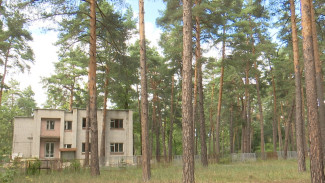 Воронежцам предложили обсудить застройку бывшего детского лагеря в Дубовке