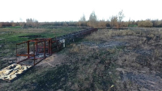 Спиливший 17-тонную вышку житель Воронежской области ответит в суде за поджог 100 га леса